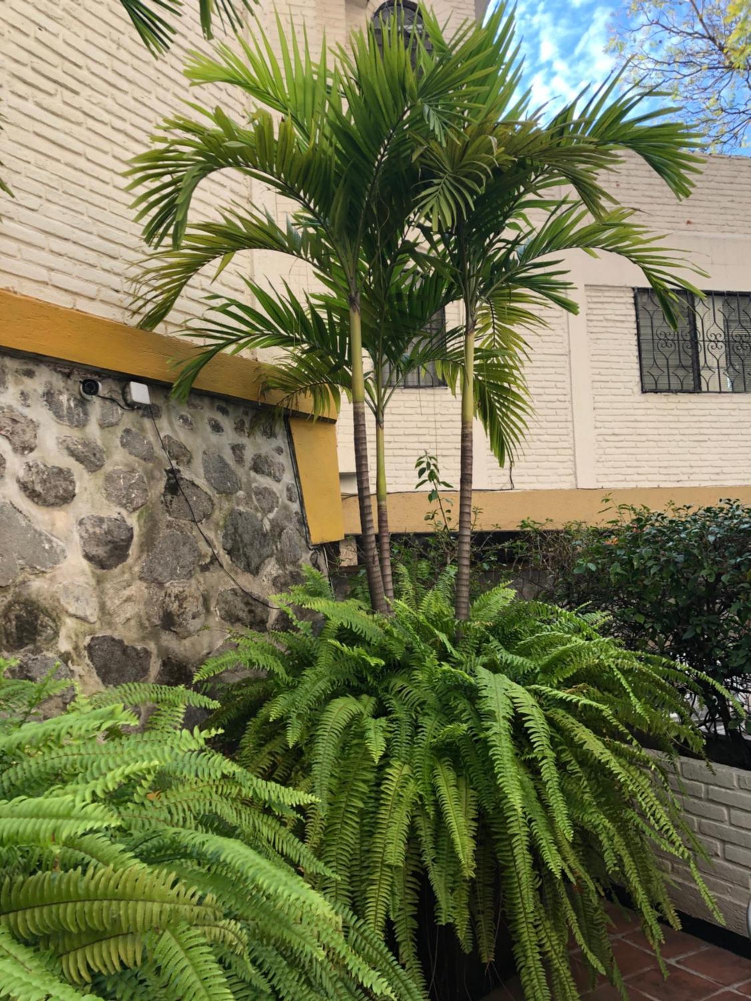 Hotel Ilebal Cuernavaca Centro - Lugar Con Encanto! المظهر الخارجي الصورة