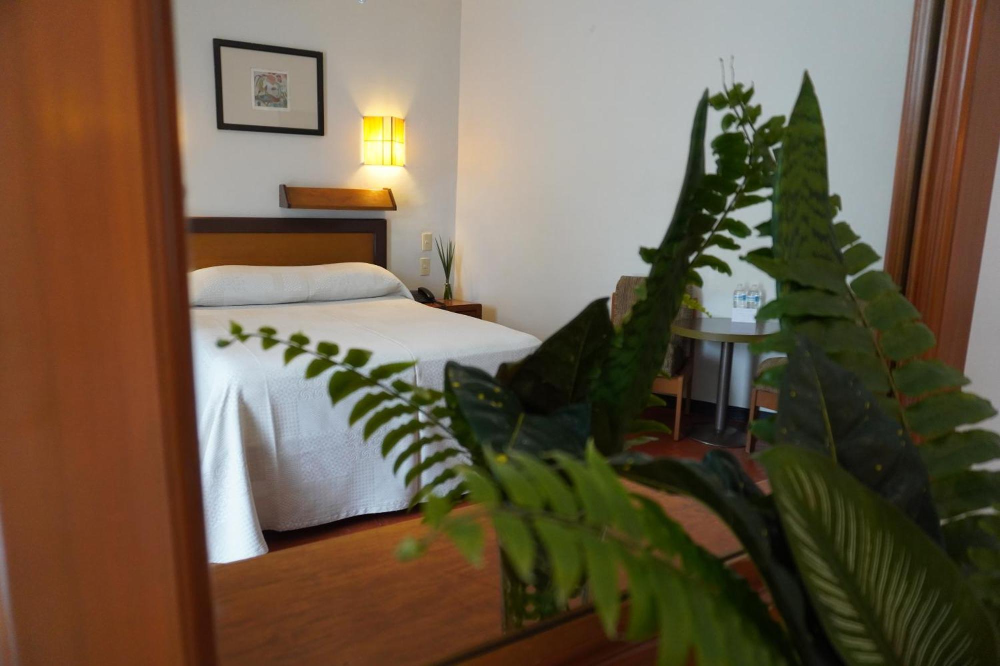 Hotel Ilebal Cuernavaca Centro - Lugar Con Encanto! المظهر الخارجي الصورة