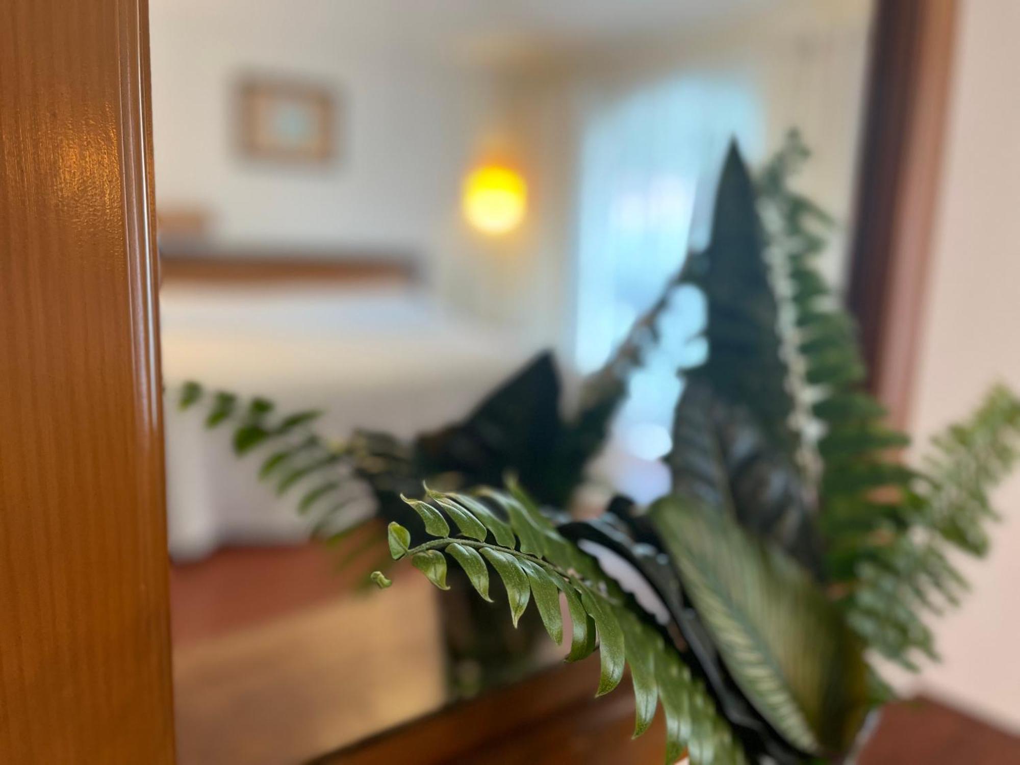 Hotel Ilebal Cuernavaca Centro - Lugar Con Encanto! المظهر الخارجي الصورة