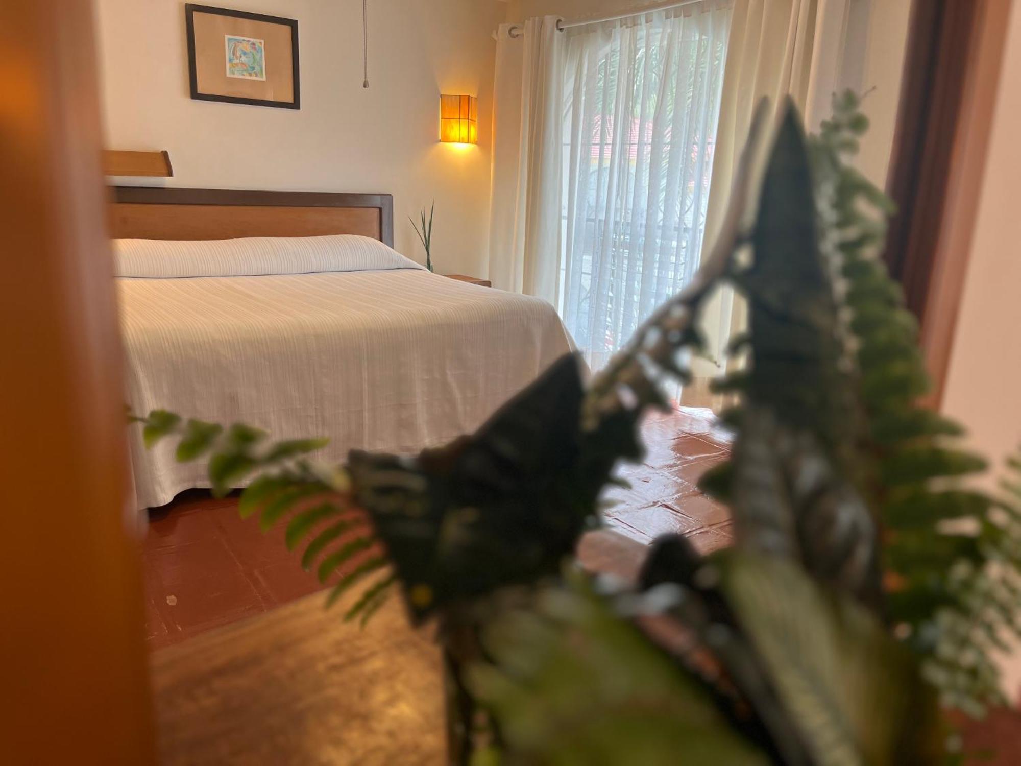 Hotel Ilebal Cuernavaca Centro - Lugar Con Encanto! المظهر الخارجي الصورة