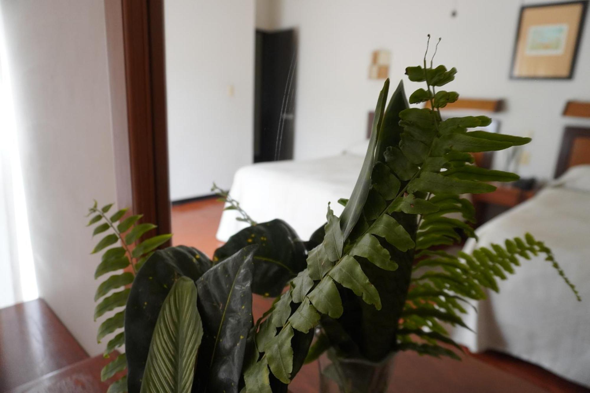 Hotel Ilebal Cuernavaca Centro - Lugar Con Encanto! المظهر الخارجي الصورة